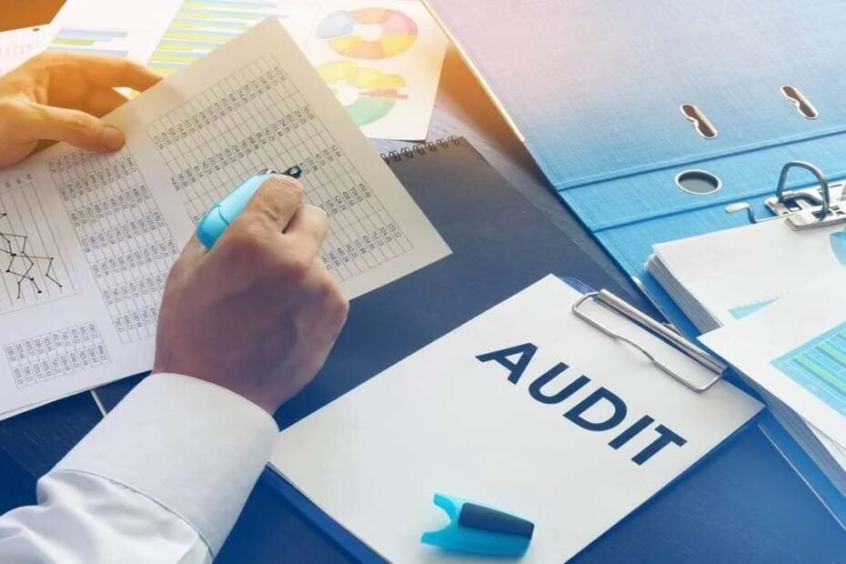 Tax Audits