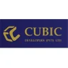 cubic developer